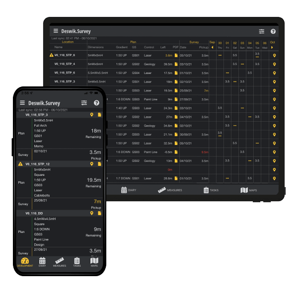 Deswik Survey on Mobile & Tablet Screens