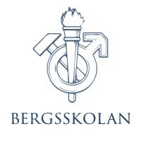 bergsskolan logo